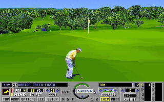 Links: Championship Course - Barton Creek (DOS) screenshot: Chipping to the first green