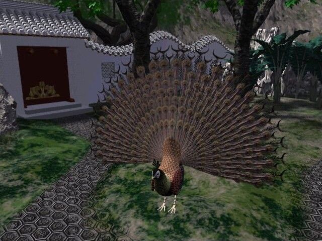 The Legend of Lotus Spring (Windows) screenshot: This peacock always stays in the same general location