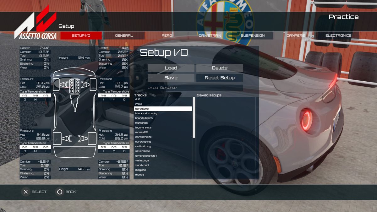 Assetto Corsa (PlayStation 4) screenshot: Setup I/O