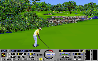 Links: Championship Course - Barton Creek (DOS) screenshot: The picturesque 16th hole (Links MCGA/VGA version)