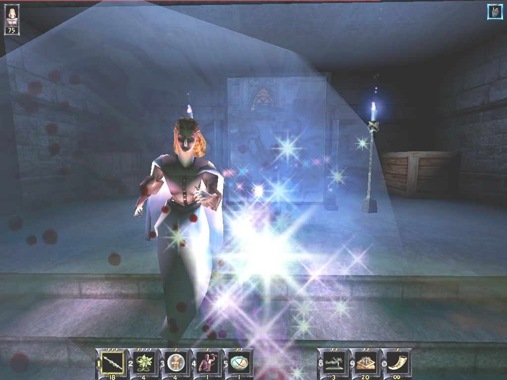 The Wheel of Time (Windows) screenshot: Elayne's evil reflection protects herself against your attacks with an anti-magic bubble