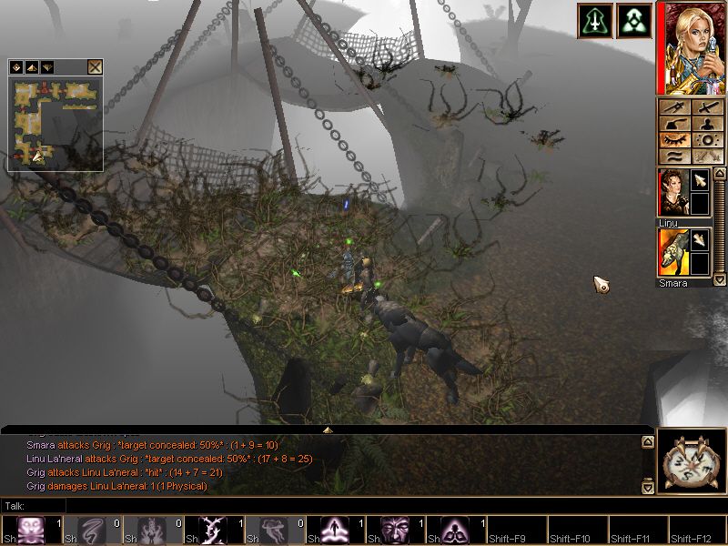 Neverwinter Nights (Windows) screenshot: Up close, even the "Entangle" spell looks cool as it wiggles and flexes.