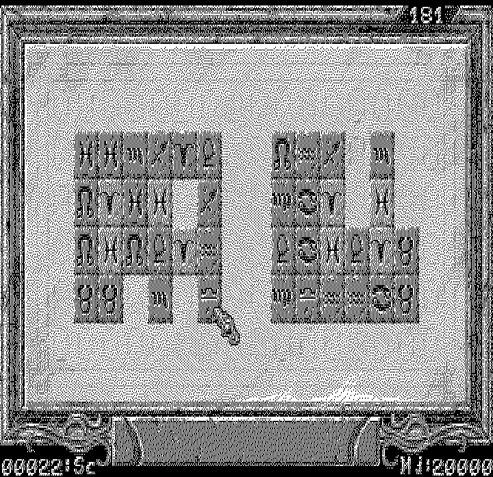 Sarakon (DOS) screenshot: Matching tiles... (Hercules Monochrome)