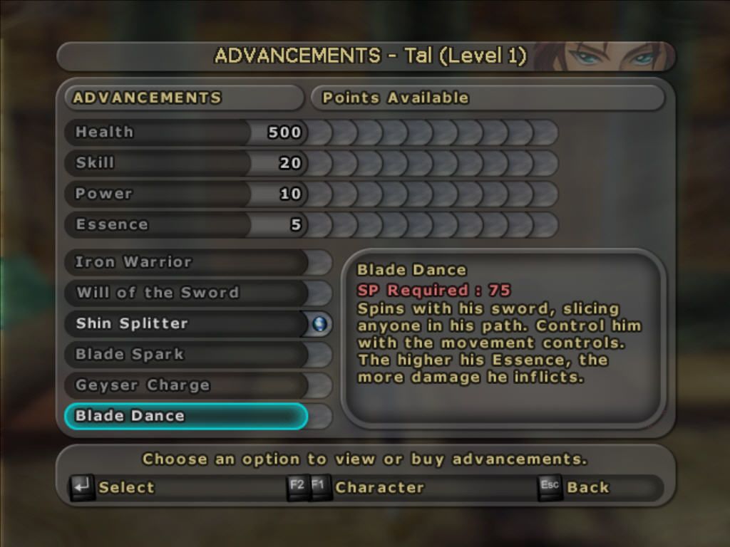 Sudeki (Windows) screenshot: Character customization is quite detailed.