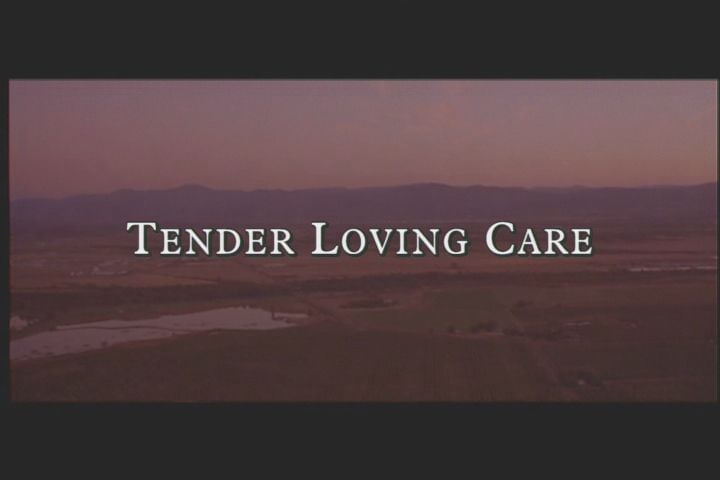 Tender Loving Care (Windows) screenshot: The opening title (DVD version)