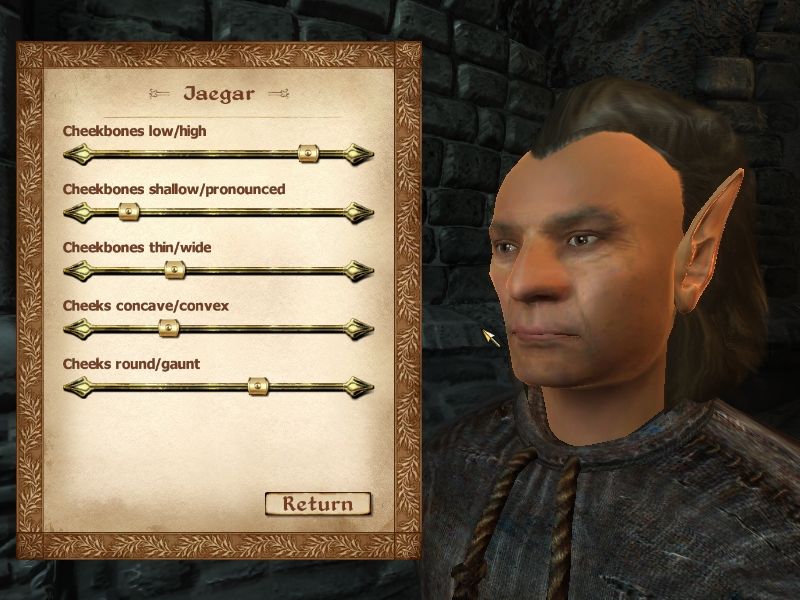 The Elder Scrolls IV: Oblivion (Windows) screenshot: Character facial features are fully customizable