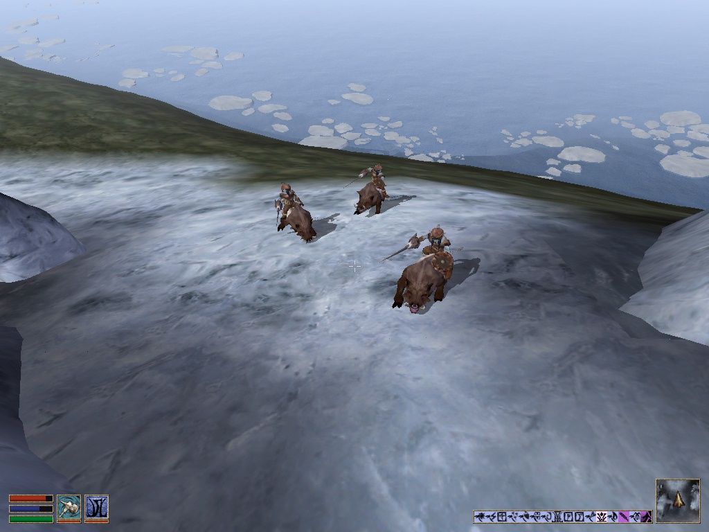 The Elder Scrolls III: Bloodmoon (Windows) screenshot: They can't attack me while I'm using my levitation ring.