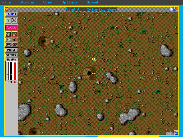 SimAnt (DOS) screenshot: Now you're topside!