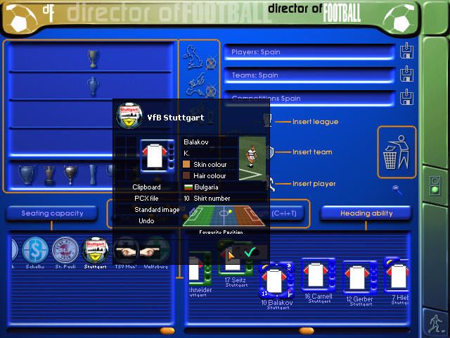 Director of Football (Windows) screenshot: The player editor. All of the skills are set in the bottom right area