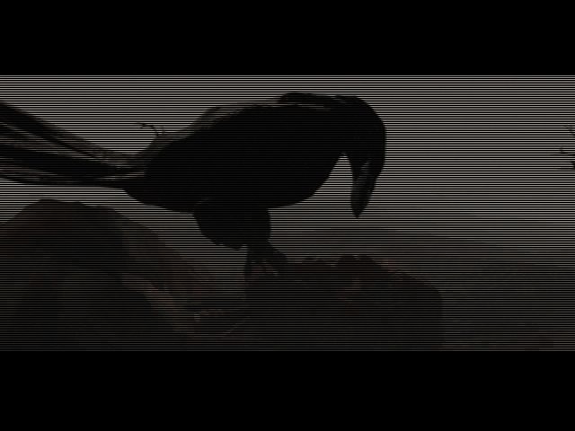 Diablo (Windows) screenshot: Scene from the introduction