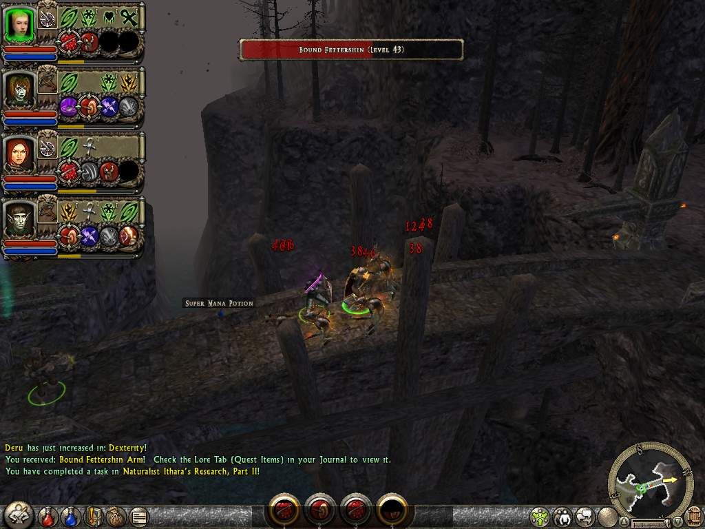 Dungeon Siege II: Broken World (Windows) screenshot: All enemies are stronger