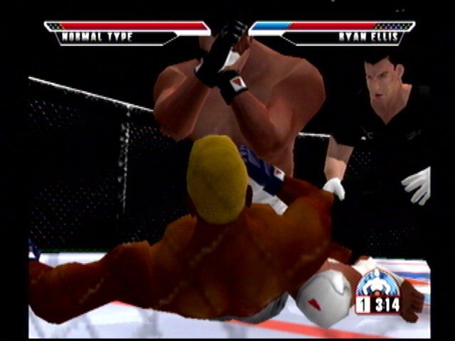 Ultimate Fighting Championship (Dreamcast) screenshot: Don't let this happen to you