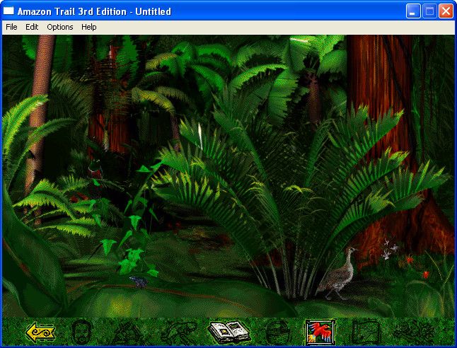 Amazon Trail: 3rd Edition (Windows) screenshot: You can get out of the boat to explore the rainforest, take pictures, and gather fruit