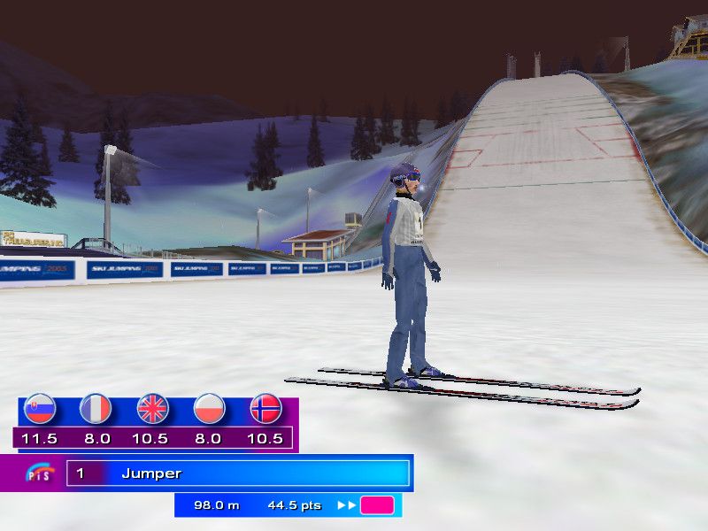 Ski Jumping 2004 (Windows) screenshot: Still standing after finishing a jump
