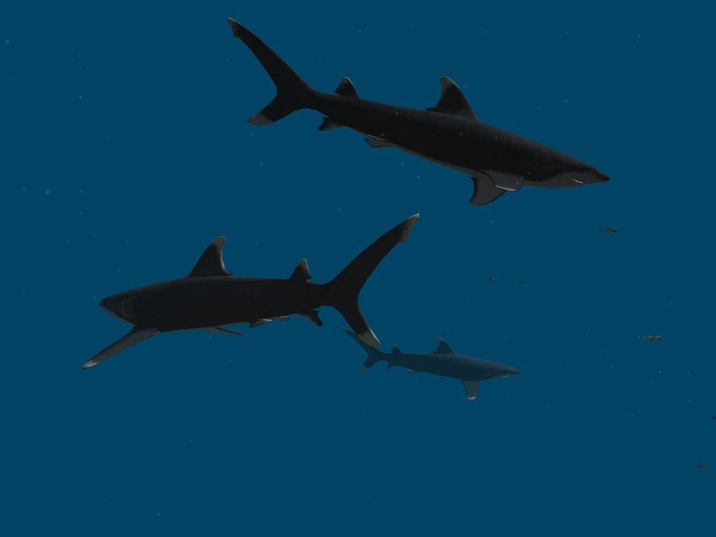 OceanDive (Windows) screenshot: circling sharks