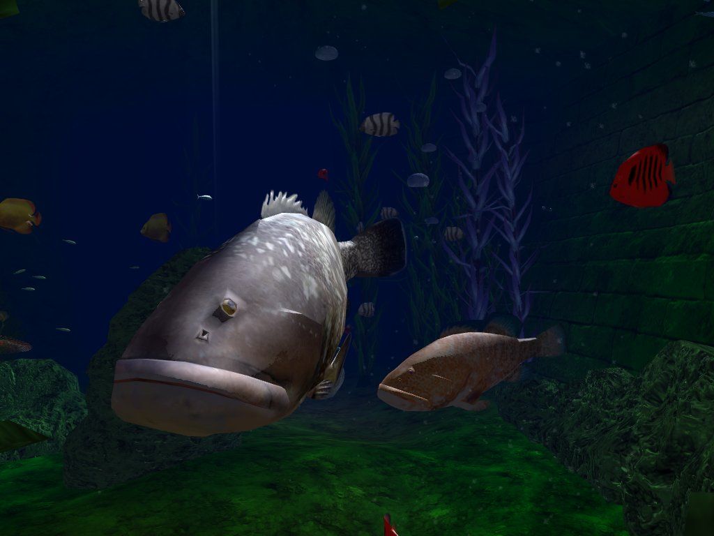 OceanDive (Windows) screenshot: fish in the algae moss room