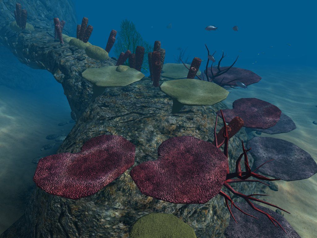 OceanDive (Windows) screenshot: reef detail