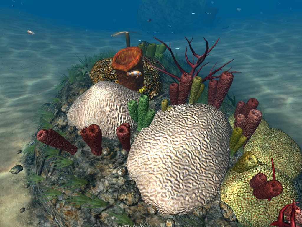 OceanDive (Windows) screenshot: sea garden