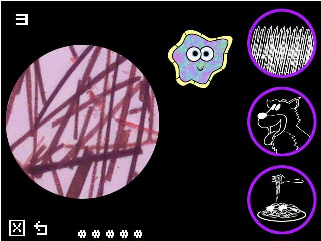 The Hula Hamsters (Windows) screenshot: ...to match the microscope pictures