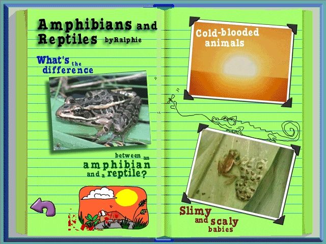 Scholastic's The Magic School Bus Explores the World of Animals (Windows) screenshot: Ralphie's science report on amphibians