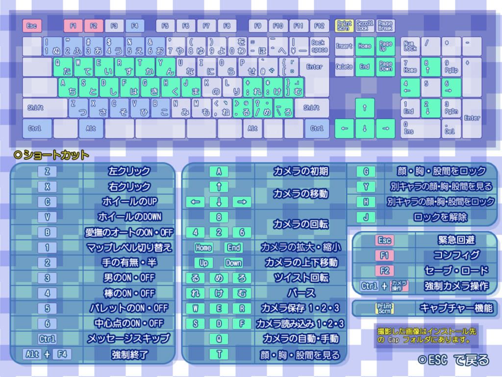 SchoolMate (Windows) screenshot: Keyboard controls help