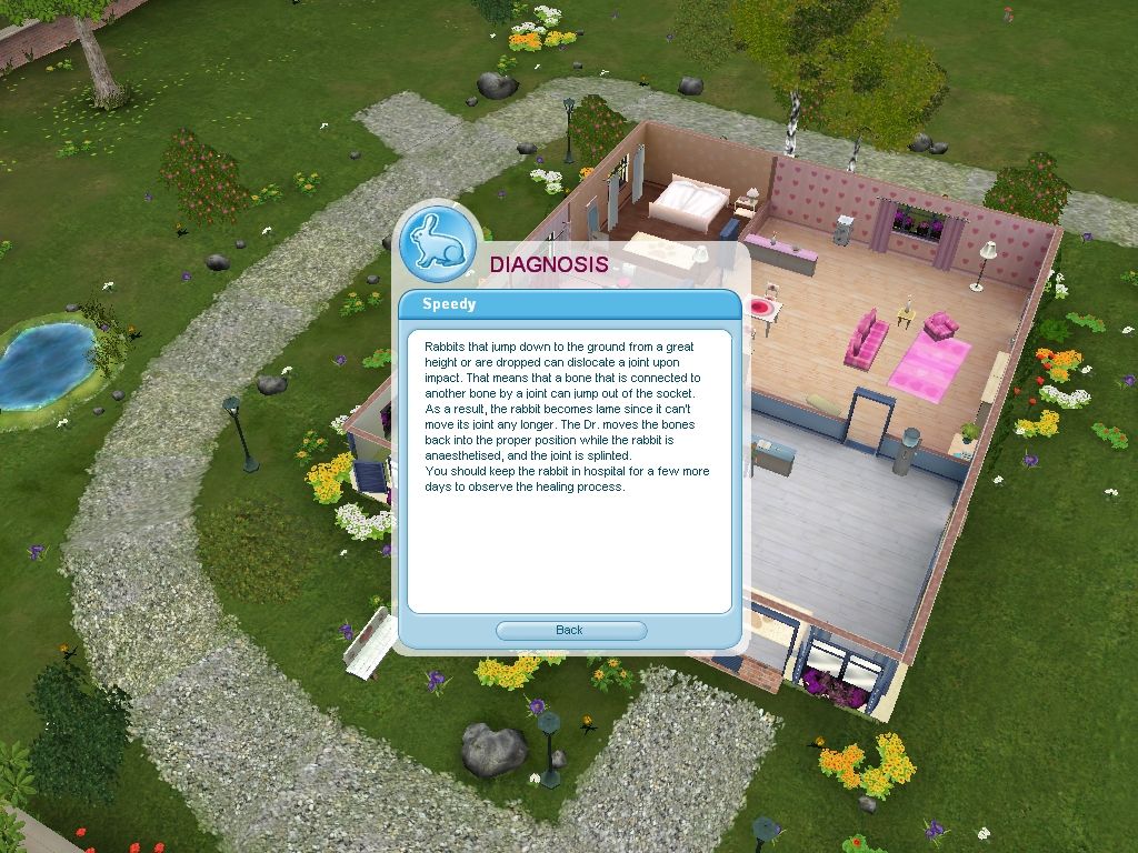 Pet Vet 3D: Animal Hospital (Windows) screenshot: Diagnosis and treatment