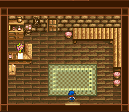 Harvest Moon (SNES) screenshot: In Game