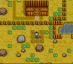 Harvest Moon (SNES) screenshot: In Game