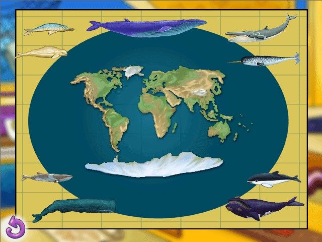 Scholastic's The Magic School Bus Whales and Dolphins: Activity Center (Windows) screenshot: Clicking on a dolphin or whale will show you where on the map they are found.
