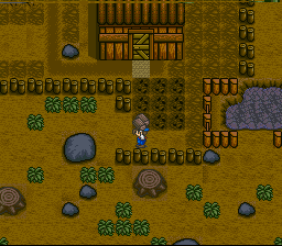 Harvest Moon (SNES) screenshot: Sooner or later, you'll need more land to plant your growing crops. Building fences helps to border your territory.