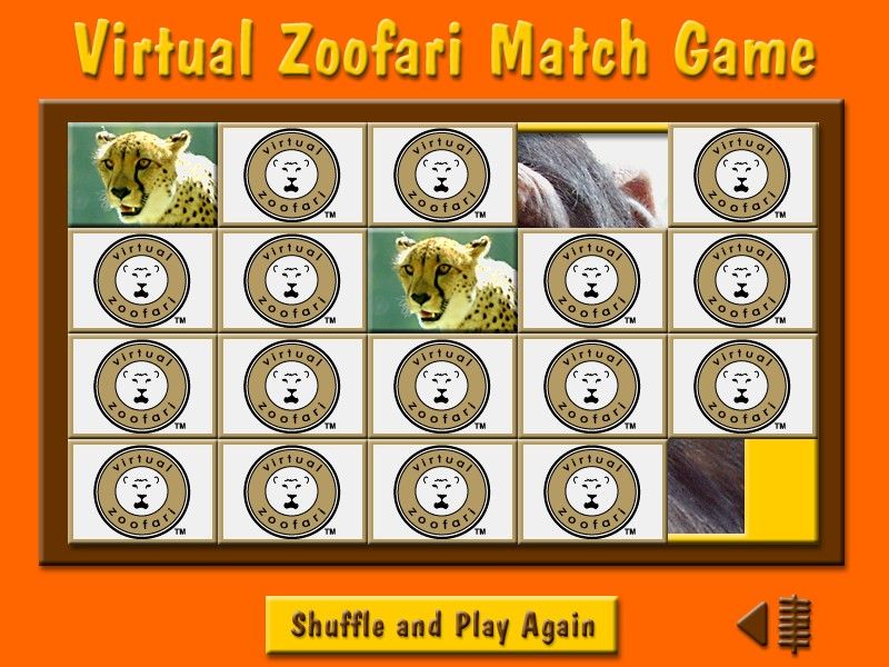 Animals of Africa (Windows) screenshot: A variation of a concentration/match game