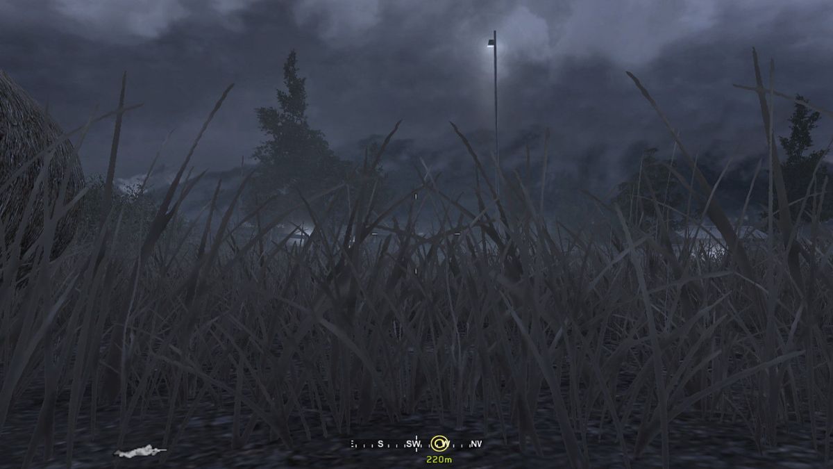 Call of Duty 4: Modern Warfare (Windows) screenshot: Staying low provides better cover and you can also study the vegetation of the country.
