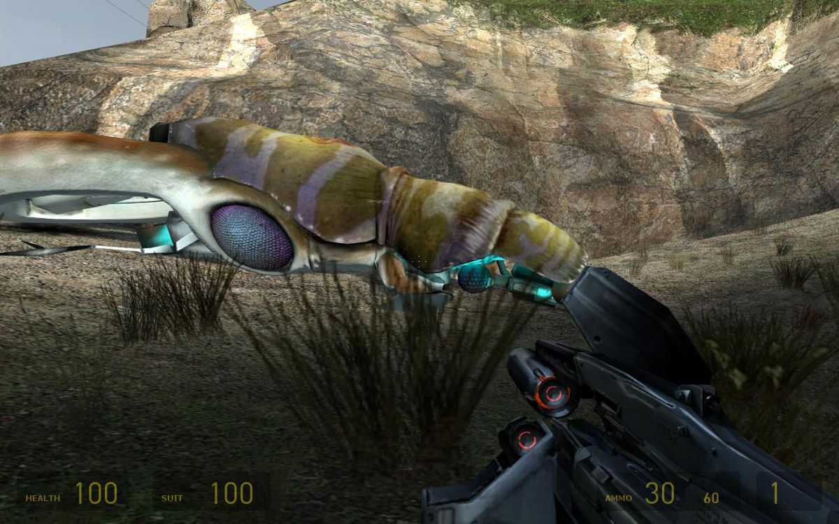 Half-Life 2 (Windows) screenshot: Downed a gunship on Highway 17.