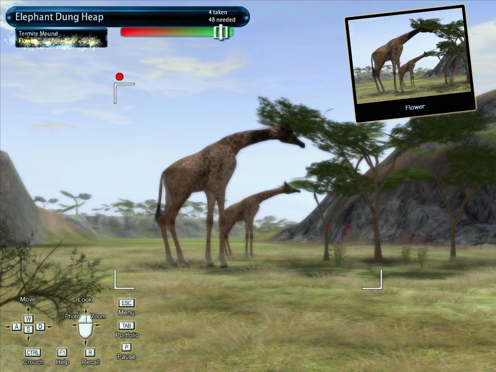 Safari Photo Africa: Wild Earth (Windows) screenshot: Photo of giraffes while searching for the termite.