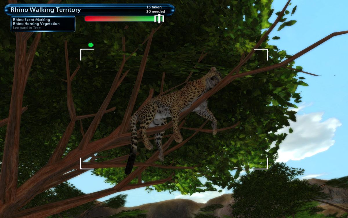 Safari Photo Africa: Wild Earth (Windows) screenshot: A leopard taking a nap on the tree limb.