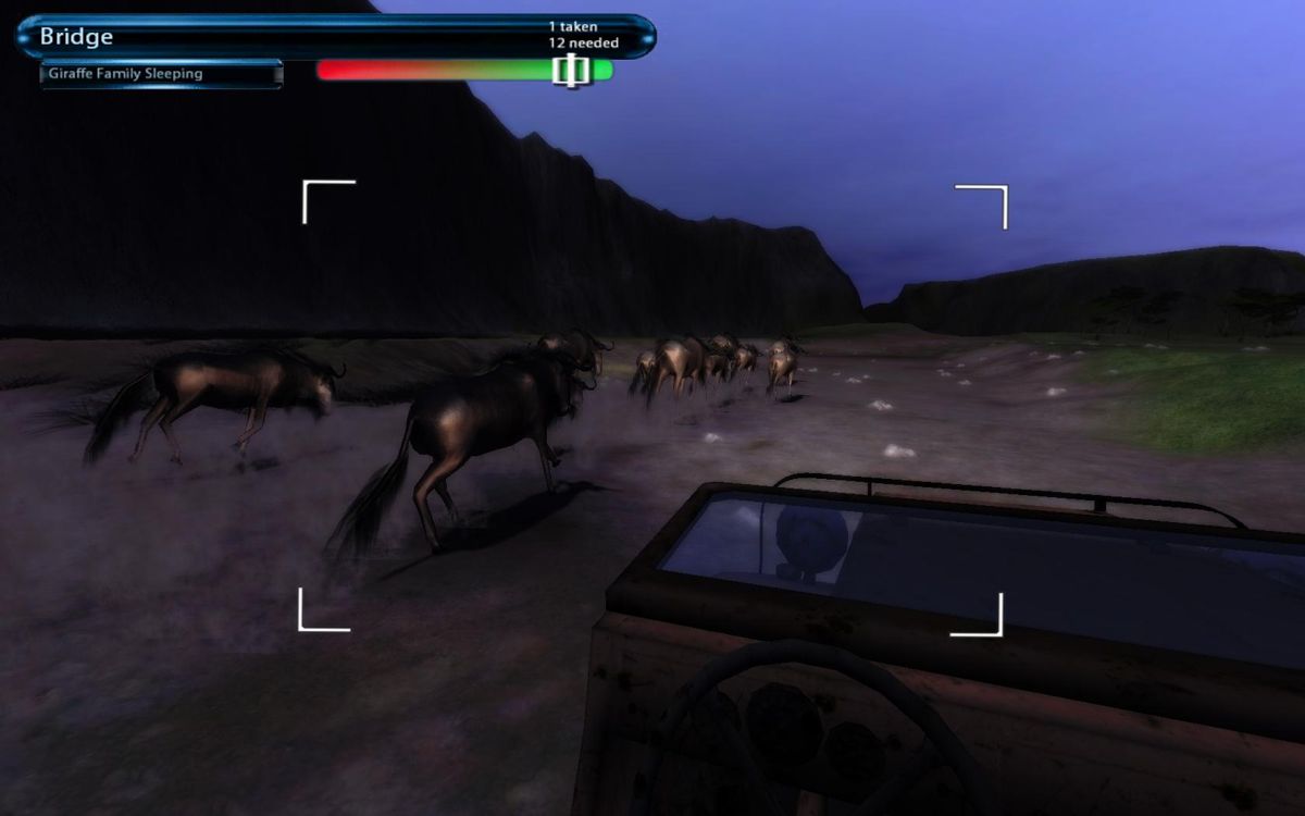 Safari Photo Africa: Wild Earth (Windows) screenshot: Wildebeests won't break a formation, no matter what. I suddenly felt just like Simba. Thank god, I had my jeep with me, instead of Mufasa.