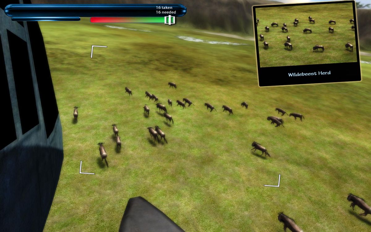 Safari Photo Africa: Wild Earth (Windows) screenshot: Migrating herd of wildebeests. This is only a small fraction. The number of wildebeests populating Ngorongoro crater is estimated in thousands.