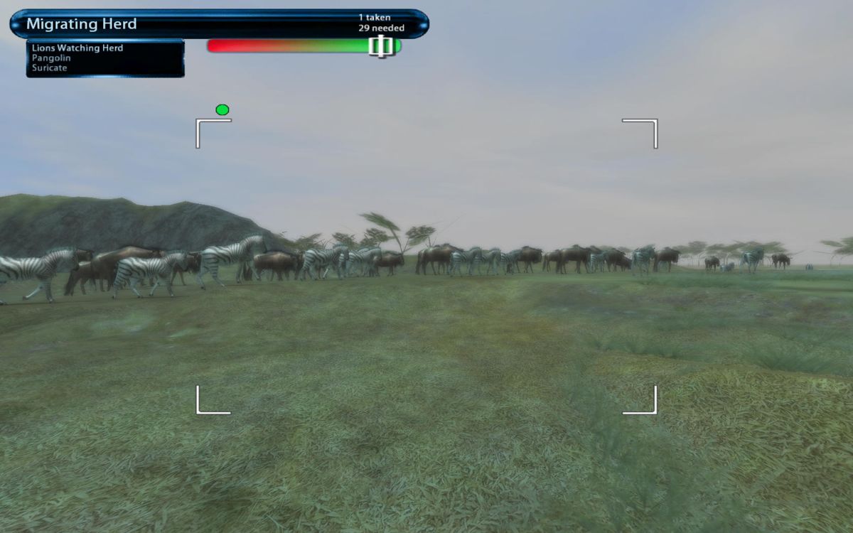 Safari Photo Africa: Wild Earth (Windows) screenshot: Zebras and wildebeests migrating. I will have to take another route, because I am not allowed to break these animals natural habitat by approaching them.
