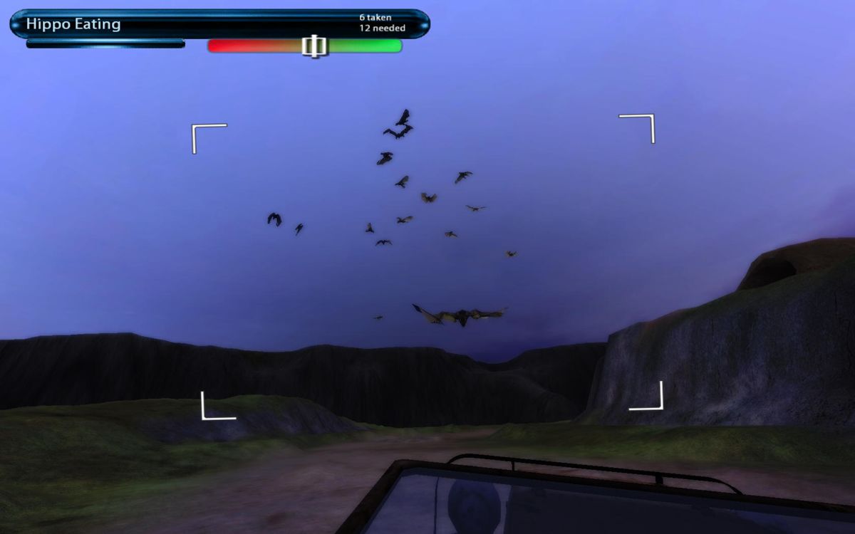 Safari Photo Africa: Wild Earth (Windows) screenshot: Fruit bats. They've been attracted by my 4x4's lights. They pose no threat.