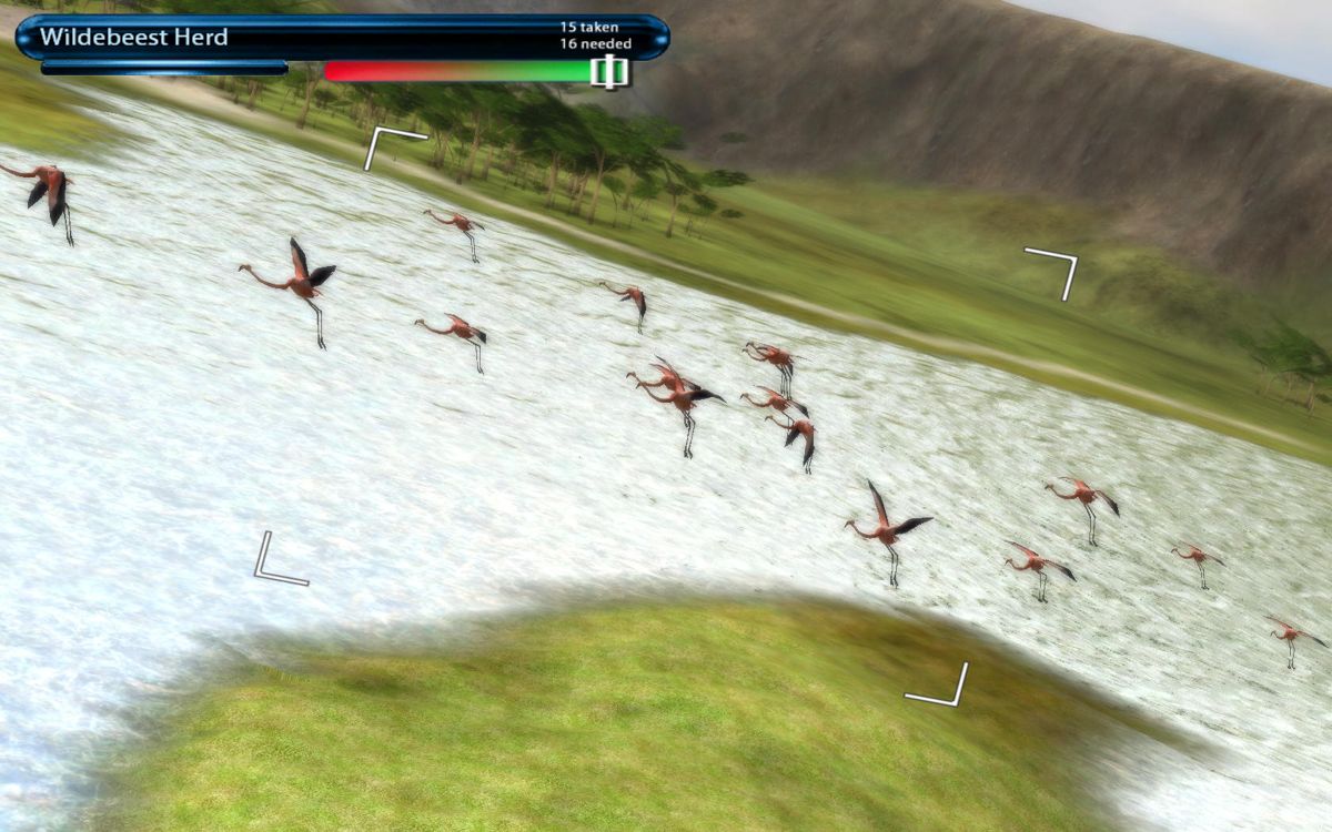 Safari Photo Africa: Wild Earth (Windows) screenshot: A flock of flamingos as witnessed on a helicopter trip to Ngorongoro crater.