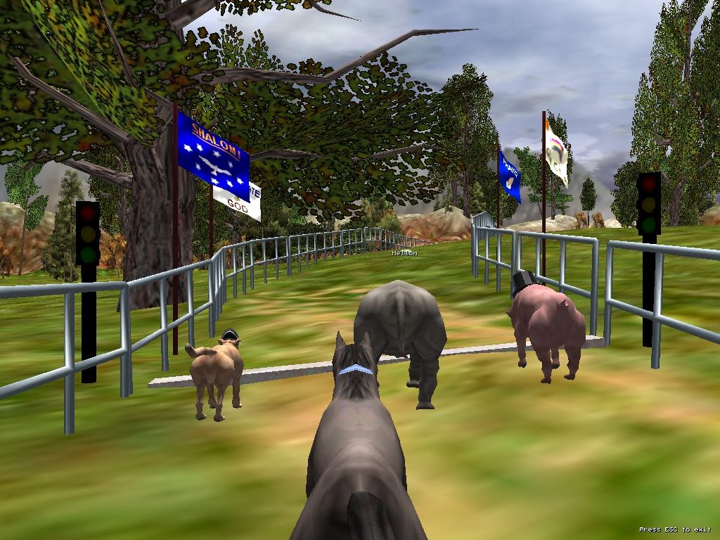 The Zoo Race (Windows) screenshot: Ready... set... go!