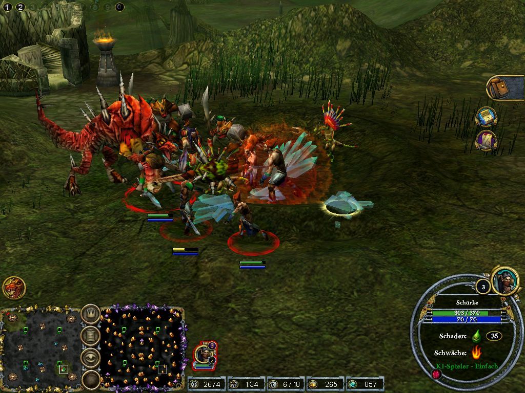 Dungeons & Dragons: Dragonshard (Windows) screenshot: A close view to close combat