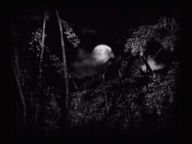 Fatal Frame (PlayStation 2) screenshot: The moon glows ominously over...