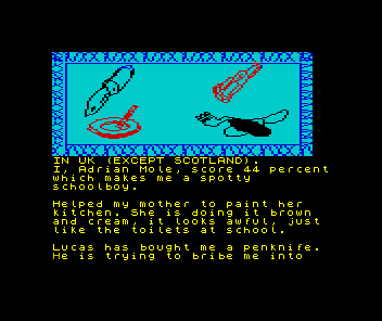 The Secret Diary of Adrian Mole Aged 13¾ (ZX Spectrum) screenshot: The game rates your performance as you go