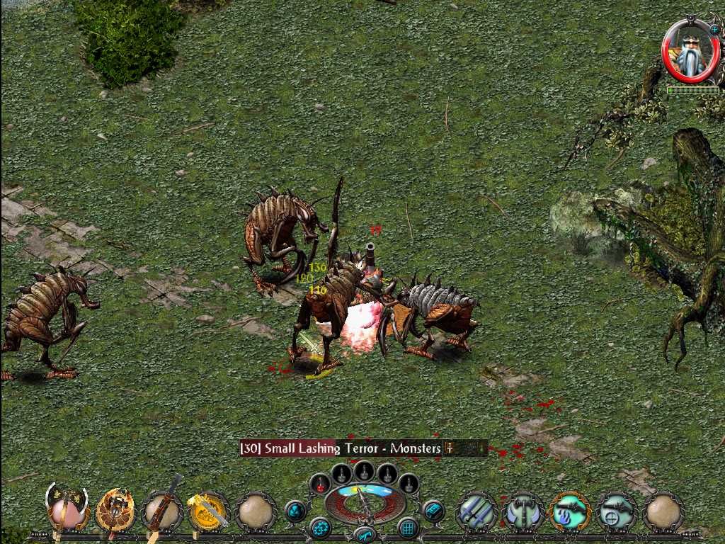 Sacred: Underworld (Windows) screenshot: The Underworld is full of bug-like creatures.