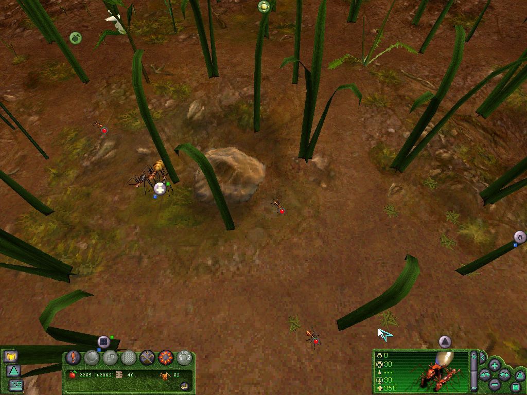 Les Fourmis (Windows) screenshot: The "medic" of the ants.