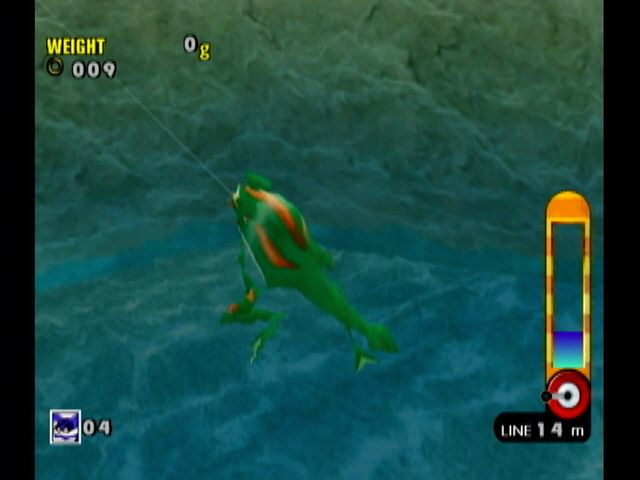 Sonic Adventure DX (Director's Cut) (GameCube) screenshot: Your objective is this frog.