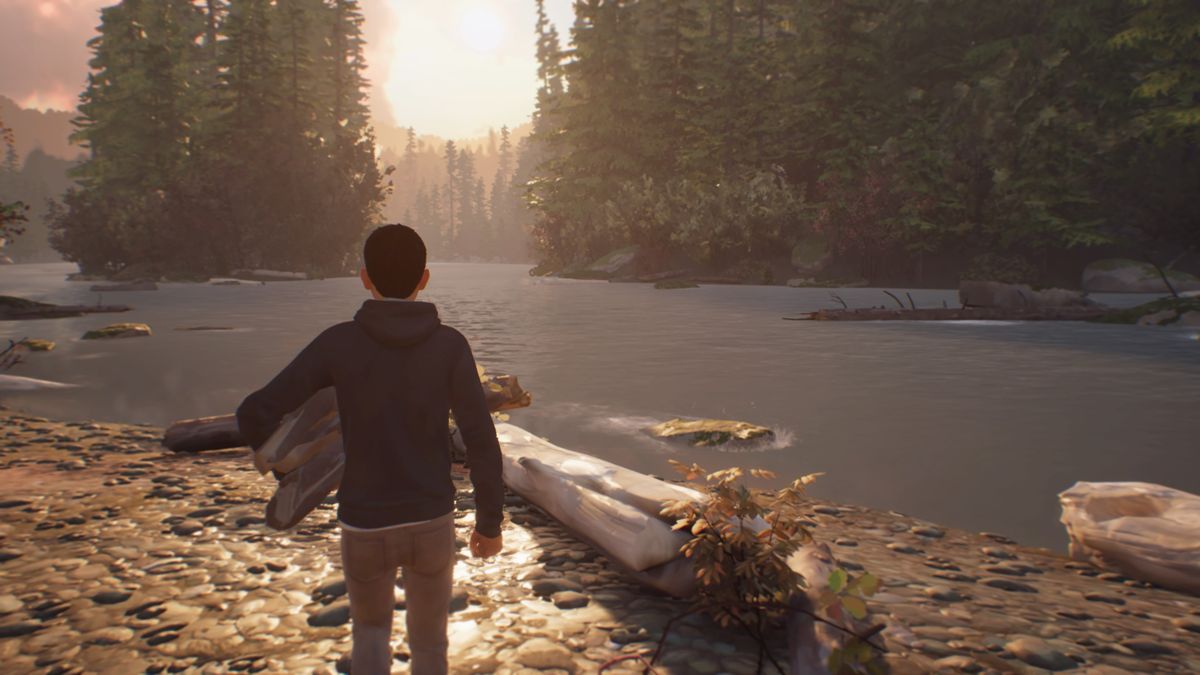 Life Is Strange 2: Episode 1 (PlayStation 4) screenshot: Searching for some logs for the fire