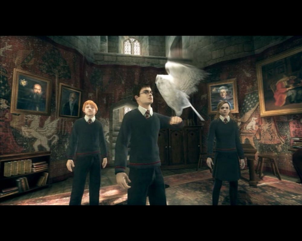 Harry Potter and the Order of the Phoenix (Windows) screenshot: Harry potter catching an owl.