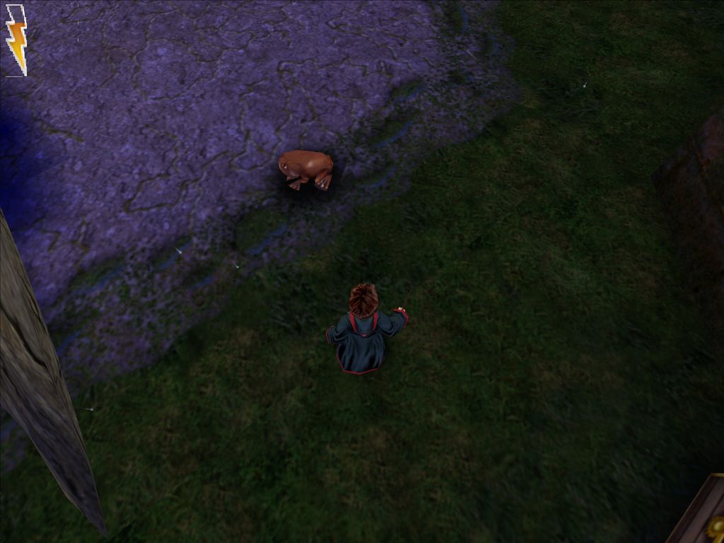 Harry Potter and the Chamber of Secrets (Windows) screenshot: Harry Potter and a frog